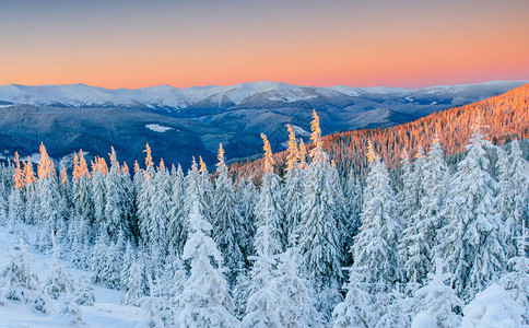 神秘的冬季景观雄伟的山脉在冬天神奇的冬天白雪覆盖的树在山的冬天路假期戏剧寒冷场景喀尔巴阡图片