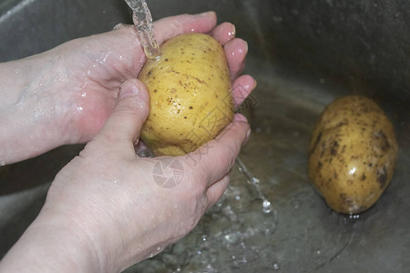 男人在自来水下洗手不干净的土豆在图片