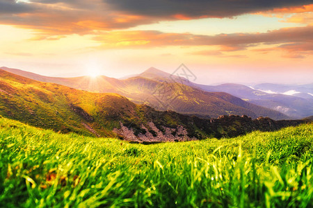 喀尔巴阡山夏季山地景观图片