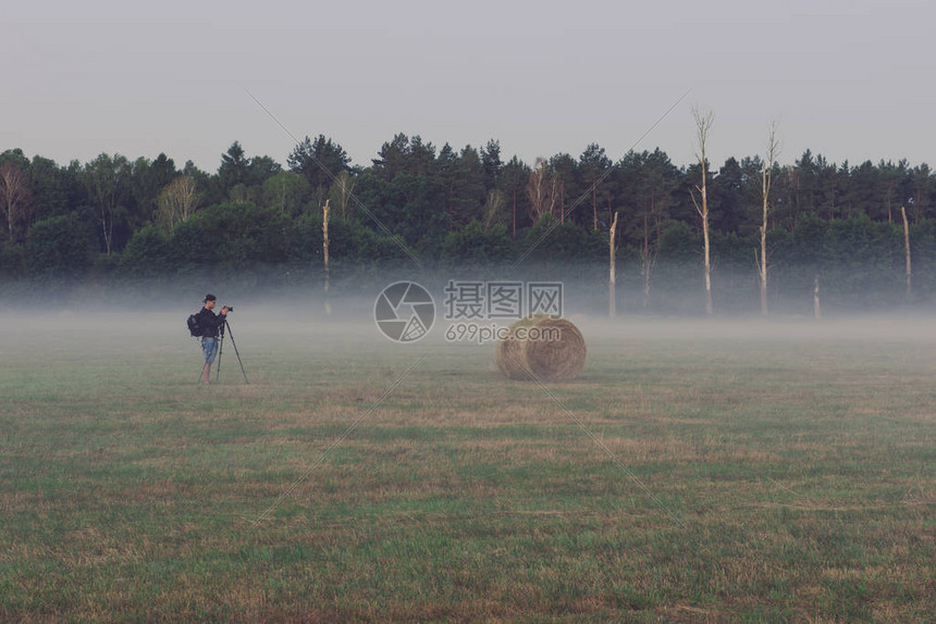 世界环境日概念草地日出风景背图片