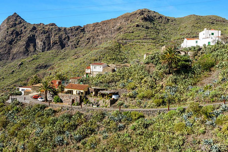 美丽的山路美丽的山路马图片