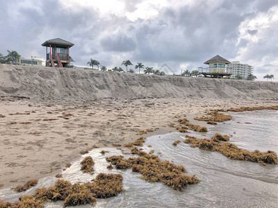 南佛罗里达州海岸侵蚀气候变化图片