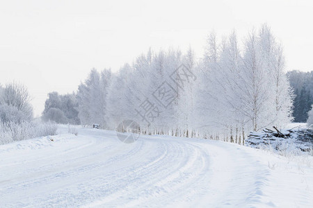 冬天的雪路图片