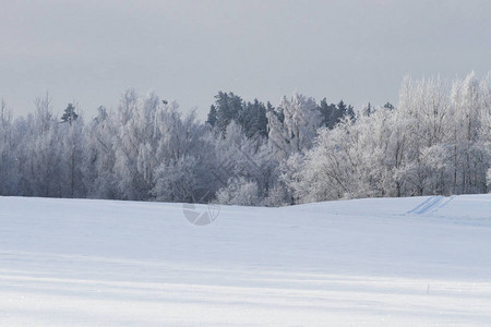 冬季美丽的雪景图片
