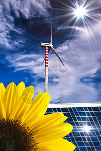 浅地有向日葵和太阳能电池板的夏季风景图片