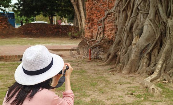 泰国考古遗址大城府历史公园玛哈泰寺古菩提树根中的佛像头图片