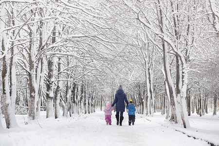 白雪覆盖的冬季公园和长椅公园和码头喂子和鸽子一家人在雪地里散步图片