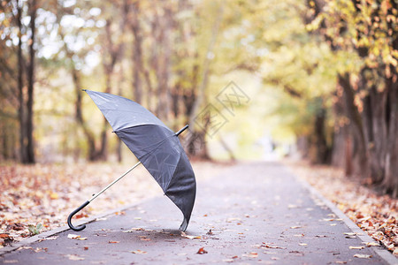 十月下午的秋雨公园图片