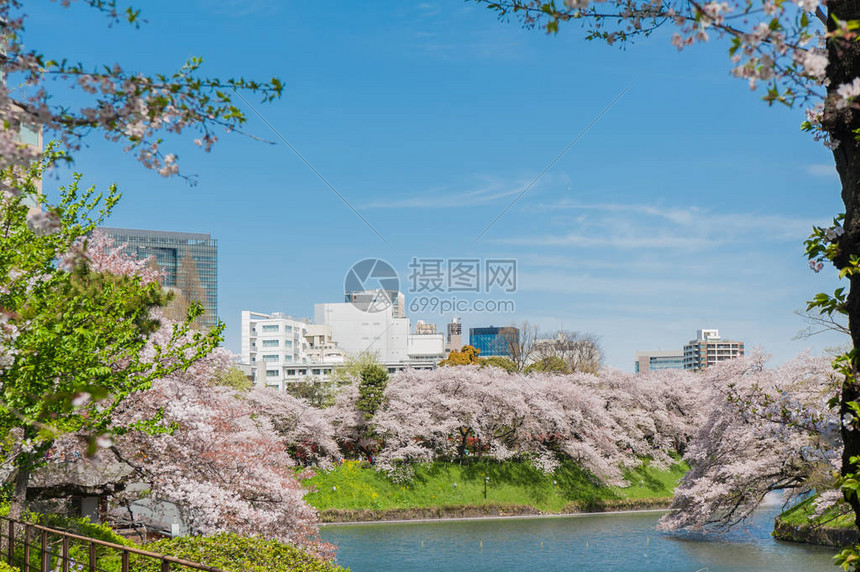 日本东京Chidarigafuchi公园图片