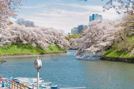 日本东京Chidarigafuchi公园图片