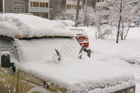 下雪后在市区院子里冬图片