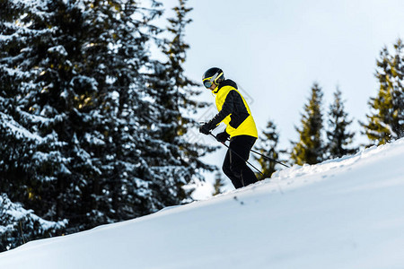身穿护目镜和头盔的运动员在Firs附近滑雪图片