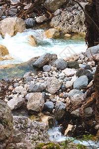 森林中的湖有岩石海岸的山区河流河底的大鹅卵石图片