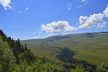 美丽的山脉草地和青松蓝天白云夏日风景图片