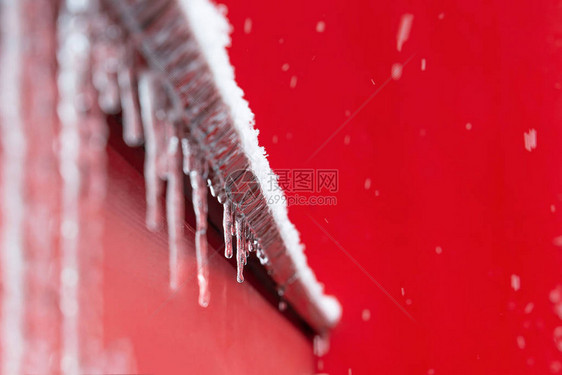 在降雪期间图片