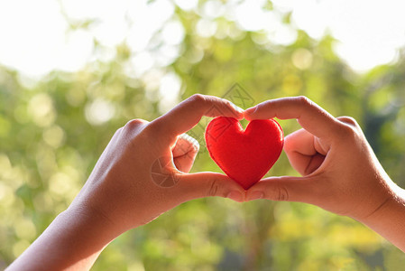 爱心为慈善理念牵手妇女握着红心在情人节或捐赠帮助给爱图片