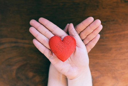为慈善理念而的心在情人节手上握着红心的女人或捐赠帮助给爱温暖图片