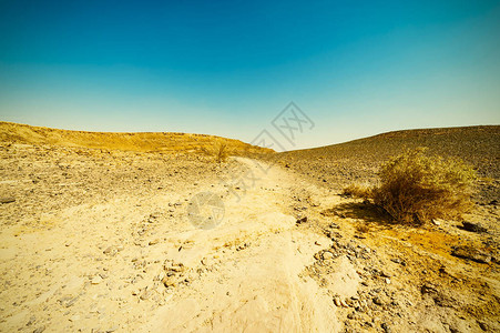以色列沙漠中岩层的欣向荣的景象图片