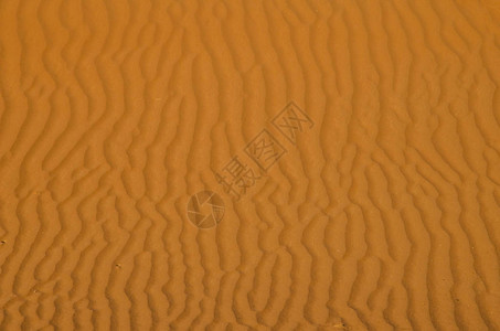 瓦伊巴沙漠中图片
