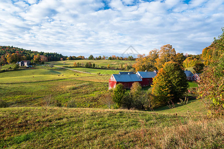 红木材质在日出时秋天的乡村风景中农场里有个红木谷仓Woodstock背景