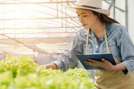 亚洲农妇拿着剪贴板和生蔬菜沙拉检查温室水培农场系统的质量水光温控环境的概背景图片