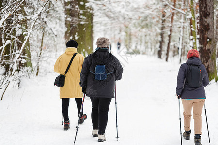 冬季运动北欧式健走公园里的一群中图片