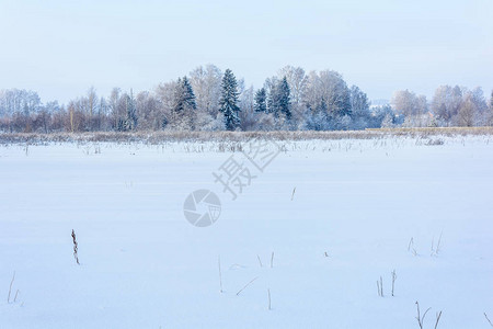 寒冷的冬天风雪覆盖地上图片