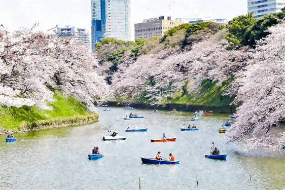 日本东京Chidarigafuc图片