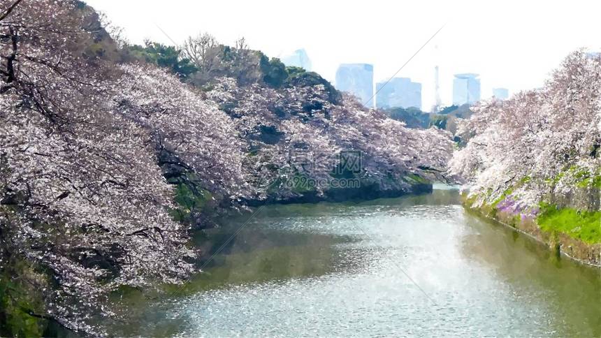 日本东京Chidarigafuc图片