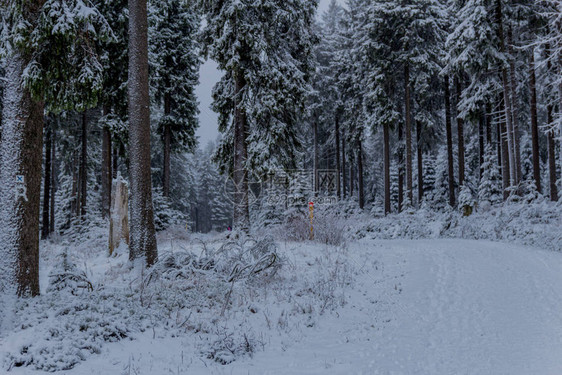 沿着Rennsteig穿过图林根森林的第一次小型冬季徒步旅行Ober图片