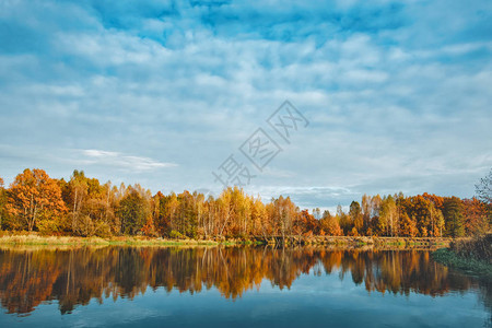 河边风景如画的秋季森林图片