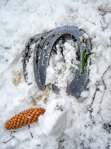 雪上铺着老旧的破旧生锈马蹄铁马场的马图片