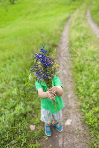 男孩拿出一束野花一个孩子在田野里采花来自草地的美丽礼物孩子手背景图片