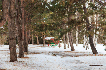 冬季公园漫步小巷图片