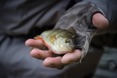 凌家滩鱼人渔夫手里拿着一条鱼背景