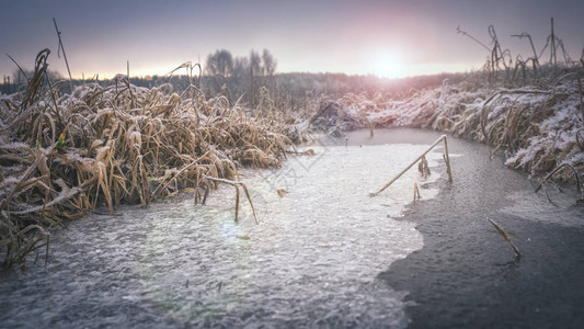 黎明时分的冬季田野寒冷的早晨图片