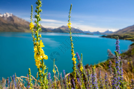 美丽的风景和高岩层有明亮的图片