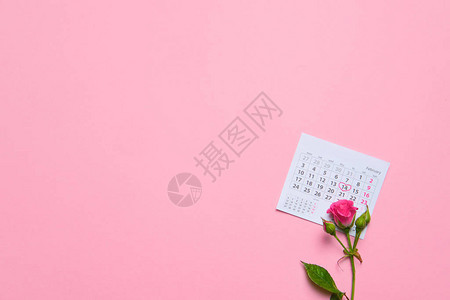日历页上的单朵玫瑰花图片
