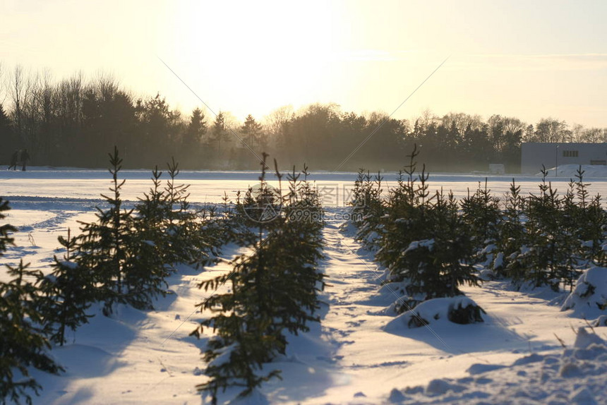  冬季全民健身活动在济南启动 专家解读科学锻炼避免运动损伤