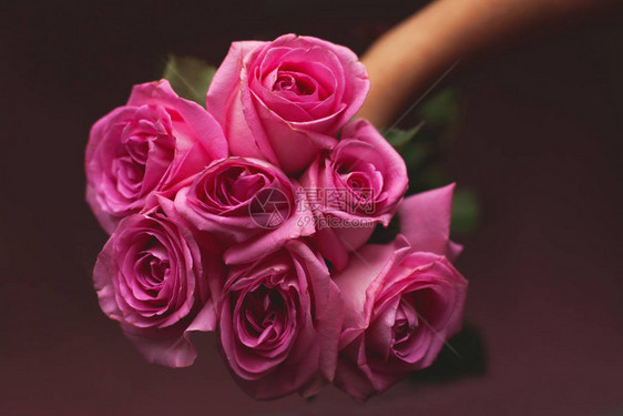 在黑暗背景下手握着美丽的粉红玫瑰花束情人节礼物图片