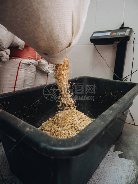 啤酒厂生产的大麦种子图片