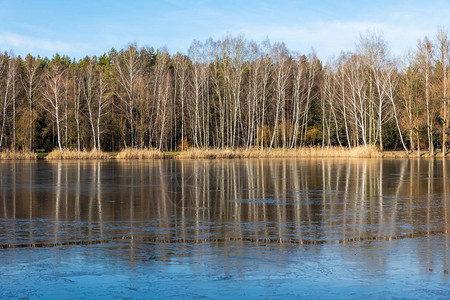 波兰的冰冻冬季湖泊和森林图片
