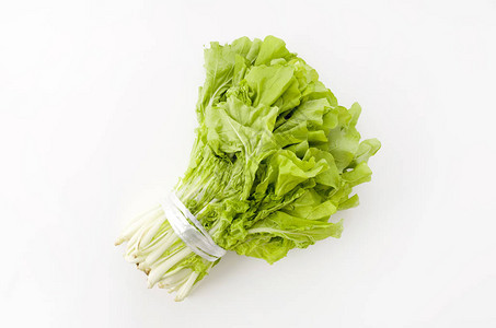 山东蔬菜卷心菜叫做图片