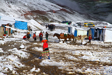 秘鲁维尼昆卡彩虹山下雪地的马匹和人收图片