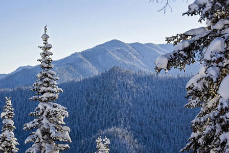 山峰从滑雪度假胜地的高度开始在冬天随图片