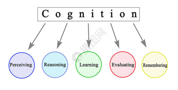 认知的五个组成部分图片