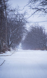 冬天的乡村风景图片