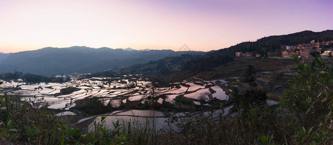 早晨的元阳梯田全景图片