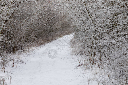 冬季小巷下着雪风景布满雪圣诞背景图片