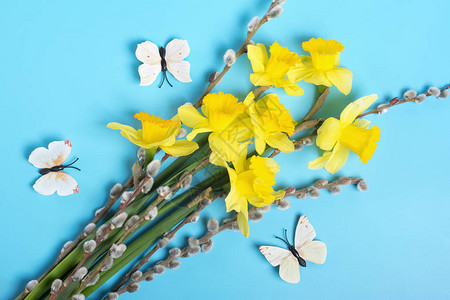 美丽的黄水仙花图片